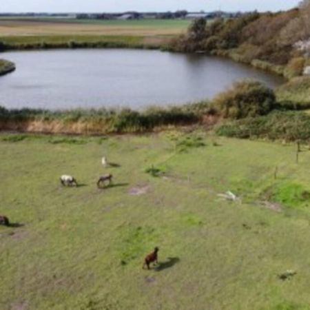 B&B Hoeve Dijkstal Logeren Op De Boerderij Sint Maarten Exteriér fotografie