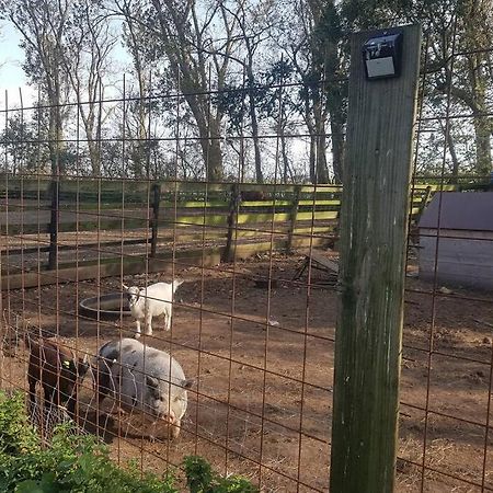 B&B Hoeve Dijkstal Logeren Op De Boerderij Sint Maarten Exteriér fotografie