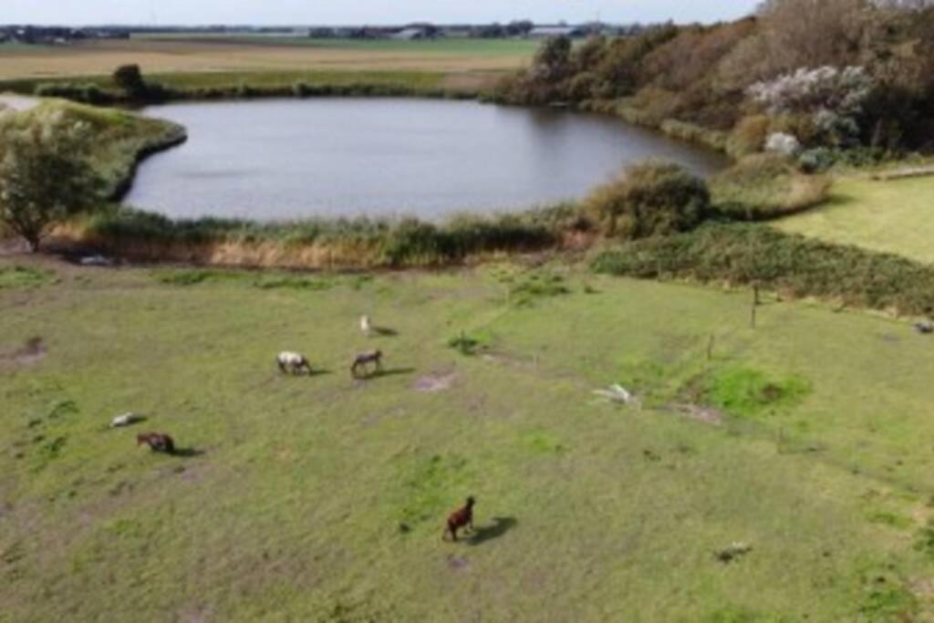 B&B Hoeve Dijkstal Logeren Op De Boerderij Sint Maarten Exteriér fotografie
